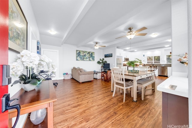 dining room featuring beam ceiling, light hardwood / wood-style flooring, and ceiling fan