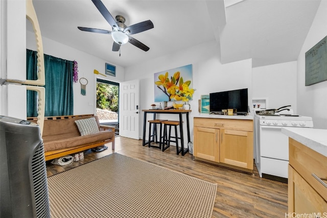 living room featuring ceiling fan and hardwood / wood-style flooring