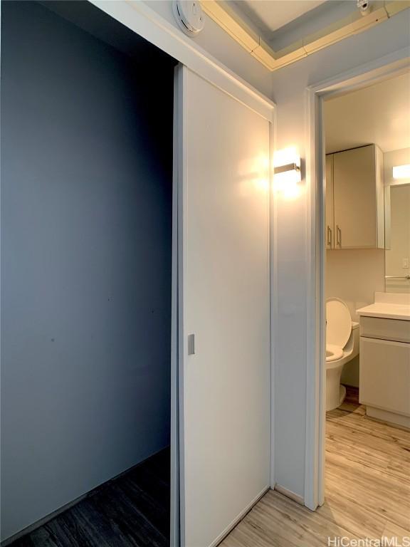 bathroom featuring vanity, wood-type flooring, and toilet