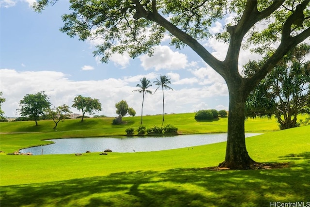 view of community featuring a lawn and a water view