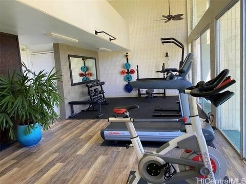 exercise area featuring hardwood / wood-style flooring and ceiling fan