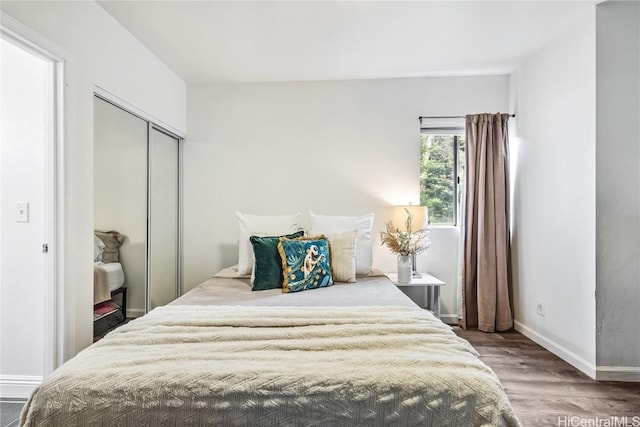 bedroom featuring a closet and wood-type flooring