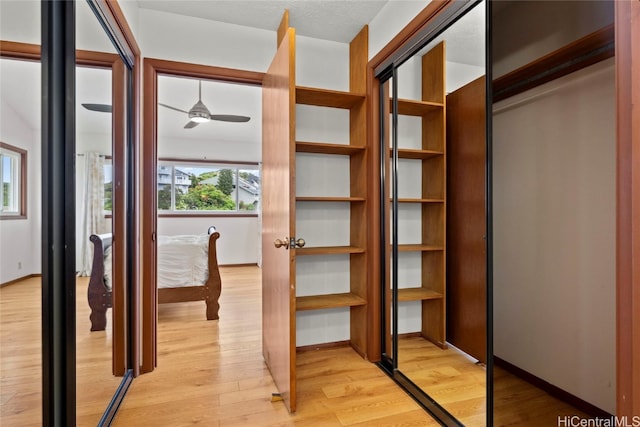 walk in closet with ceiling fan and light hardwood / wood-style flooring