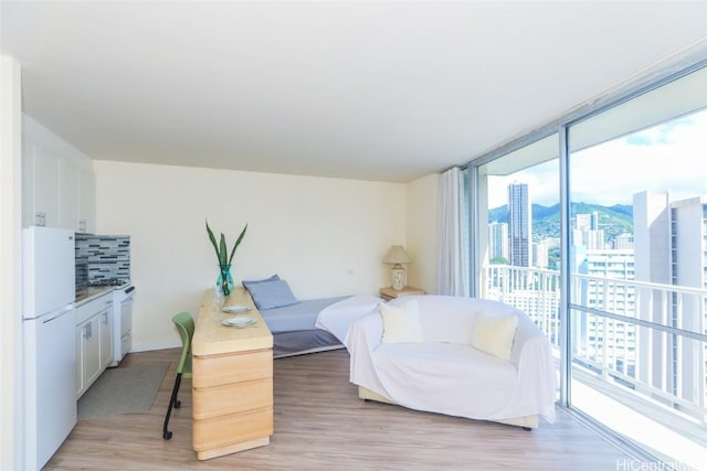 living room with light hardwood / wood-style flooring