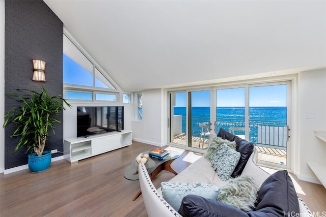 living room featuring hardwood / wood-style flooring and high vaulted ceiling