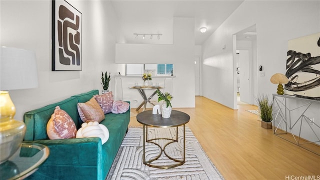 living room with wood-type flooring