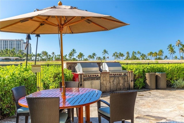 view of patio with grilling area and exterior kitchen