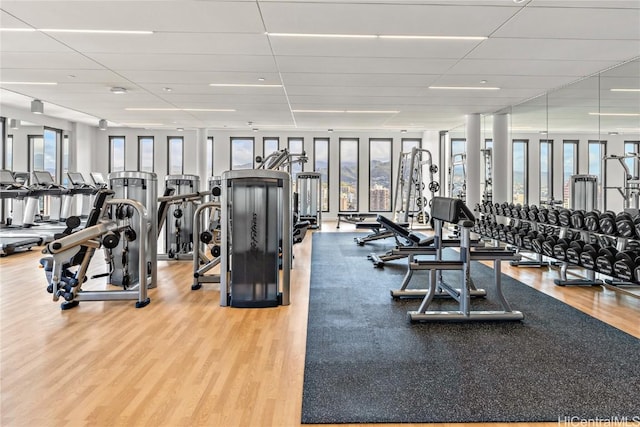 exercise room with hardwood / wood-style floors, a drop ceiling, and a wealth of natural light