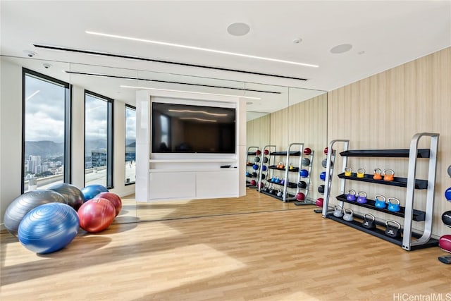 exercise room with a wall of windows and light wood-type flooring