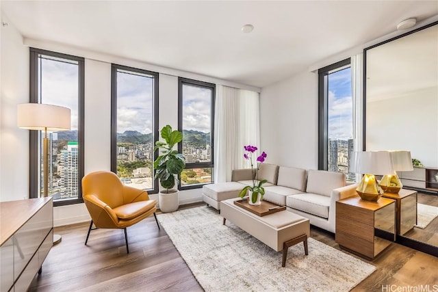 interior space with floor to ceiling windows and wood-type flooring