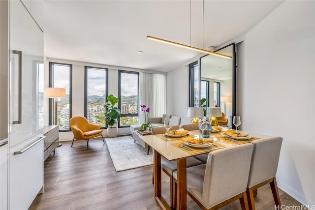 dining room with floor to ceiling windows and hardwood / wood-style flooring