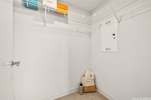 spacious closet with carpet and electric panel