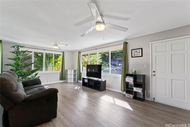 living room featuring hardwood / wood-style floors and ceiling fan