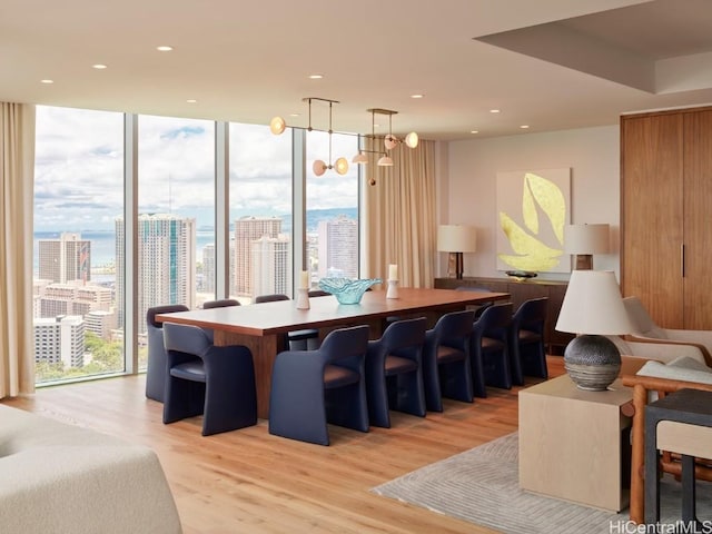 dining space featuring a wall of windows and light wood-type flooring