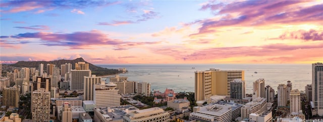 view of city featuring a water view