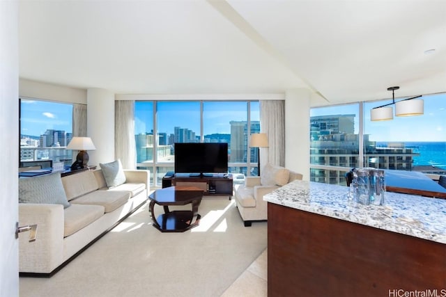 living room featuring a wall of windows and plenty of natural light