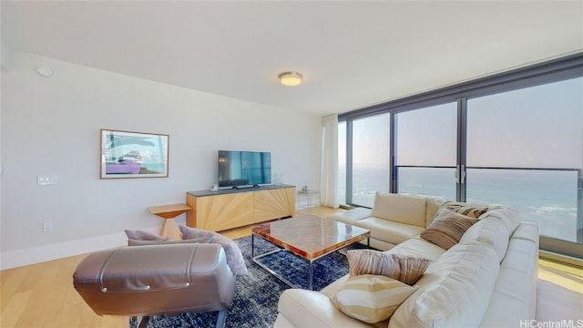 living room featuring light hardwood / wood-style flooring