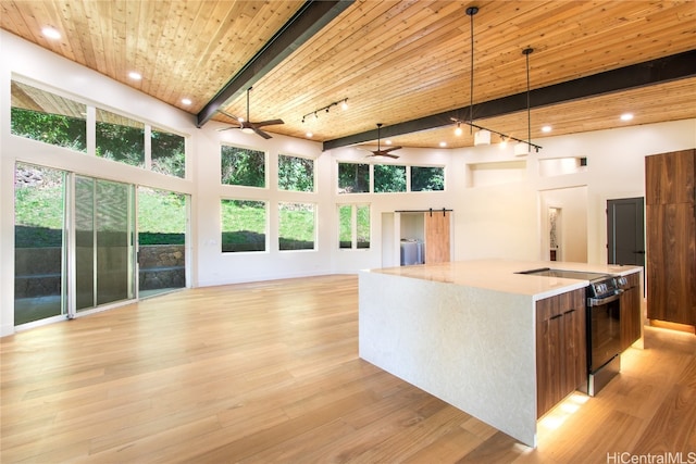 kitchen with light wood-type flooring, pendant lighting, a barn door, a large island with sink, and black electric range