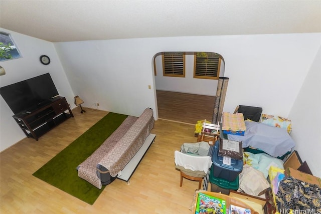 living room featuring hardwood / wood-style floors and lofted ceiling