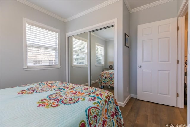 bedroom featuring crown molding, dark wood-type flooring, and a closet