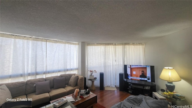 living room featuring a textured ceiling and hardwood / wood-style flooring