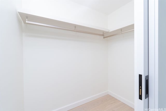 spacious closet featuring light hardwood / wood-style floors