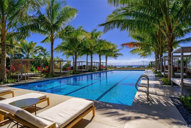 view of pool with a patio area