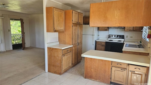 kitchen with light carpet, ornamental molding, white appliances, exhaust hood, and sink