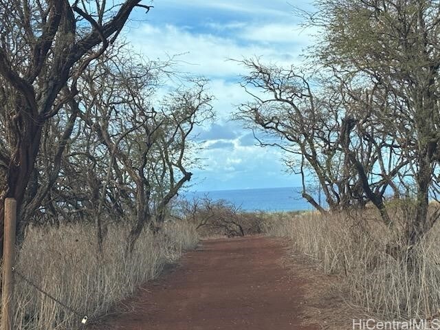 LOT125 Ahiu Rd, Maunaloa HI, 96770 land for sale