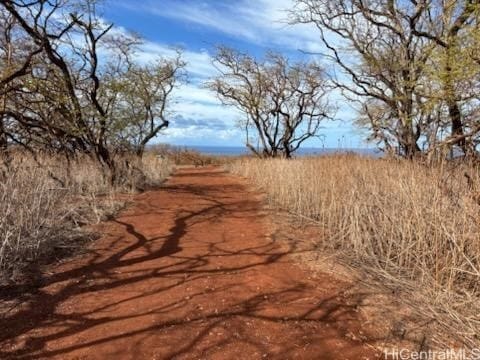 Listing photo 2 for LOT125 Ahiu Rd, Maunaloa HI 96770