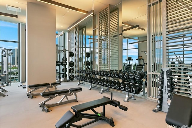 workout area with expansive windows and a healthy amount of sunlight