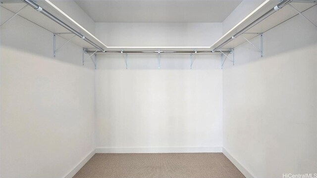 spacious closet with carpet floors