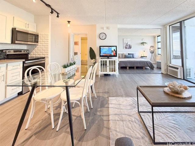 dining room featuring light hardwood / wood-style flooring and a textured ceiling