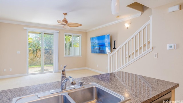 kitchen with crown molding, sink, and ceiling fan