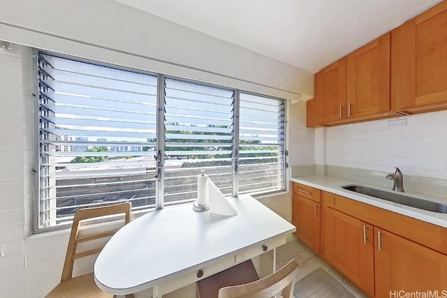 kitchen with backsplash and sink