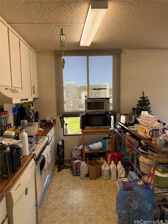 kitchen with white cabinetry