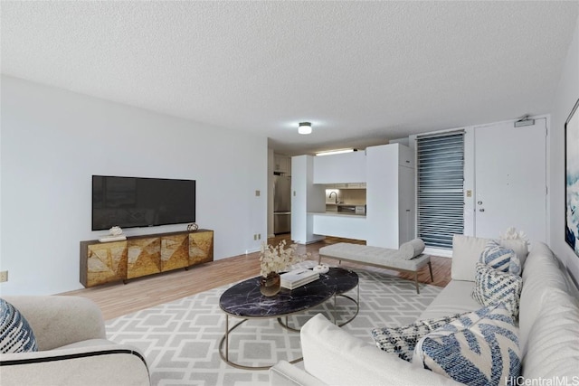 living room with a textured ceiling and light hardwood / wood-style floors