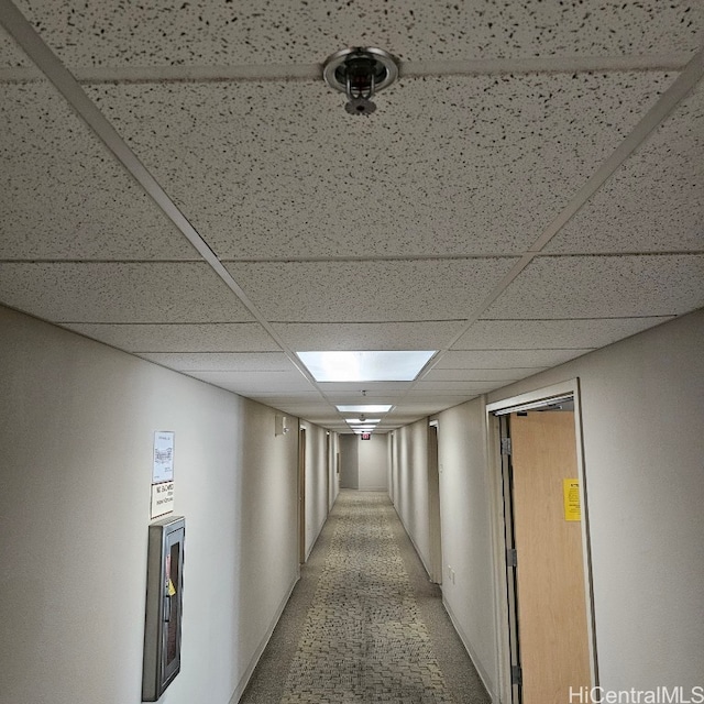 corridor featuring a drop ceiling