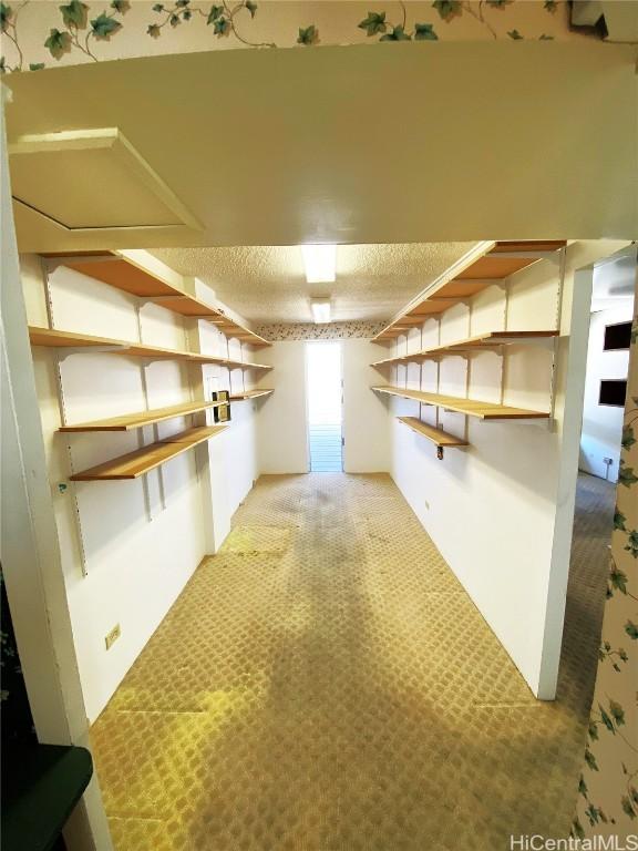 basement featuring carpet and a textured ceiling