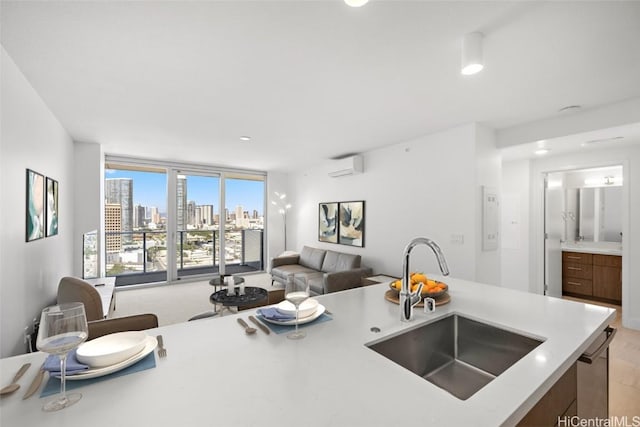 kitchen with an AC wall unit and sink