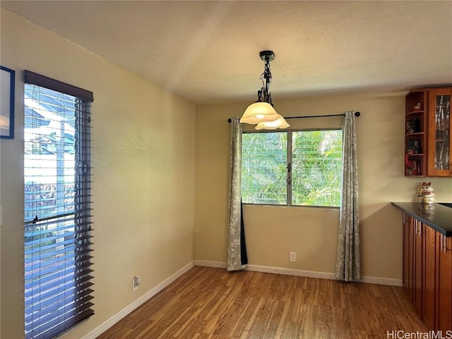 unfurnished dining area with hardwood / wood-style flooring