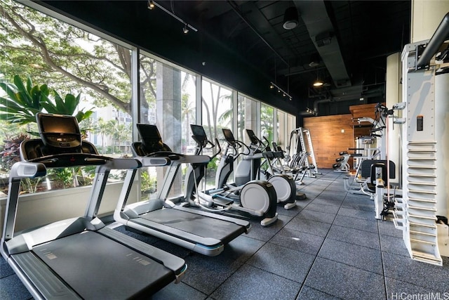 gym with wooden walls