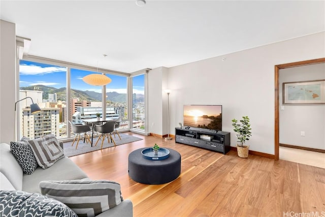 living room featuring light hardwood / wood-style floors and a wall of windows