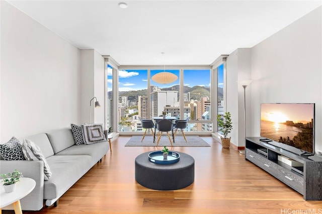 living room with expansive windows and light hardwood / wood-style floors