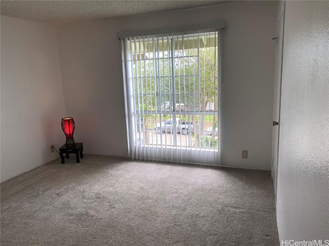 carpeted spare room featuring a textured ceiling and a wealth of natural light