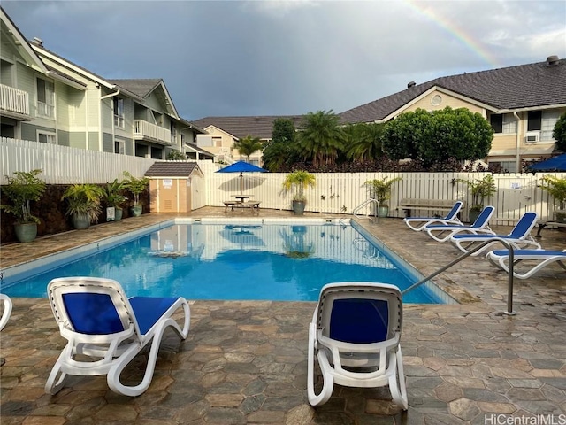 view of pool featuring a patio area and a shed