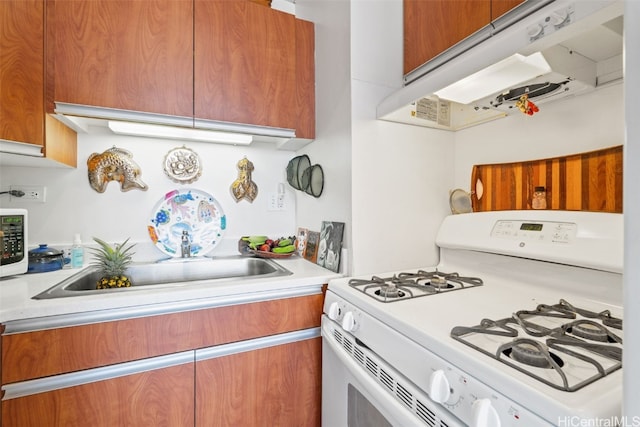 kitchen featuring sink, exhaust hood, and white appliances