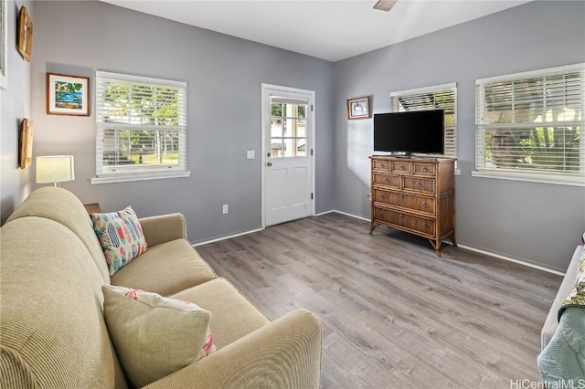 living room featuring a wealth of natural light, ceiling fan, and light hardwood / wood-style floors