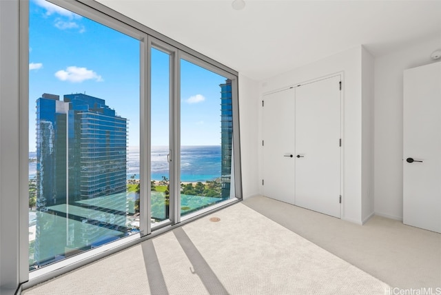 unfurnished bedroom with a water view, light colored carpet, multiple windows, and a closet