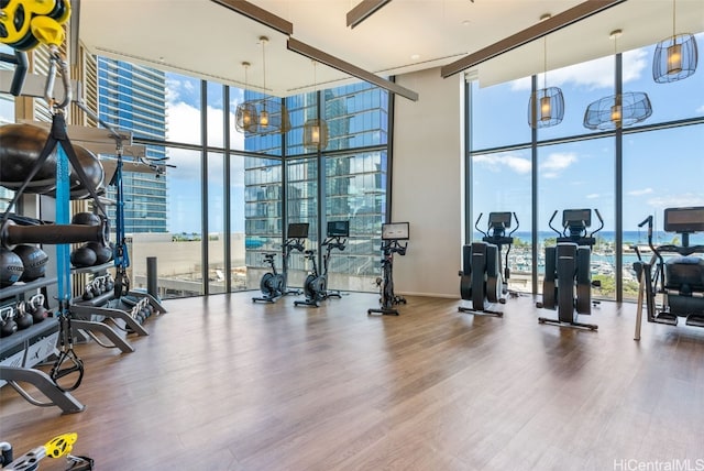 workout area with a healthy amount of sunlight, wood-type flooring, and a wall of windows